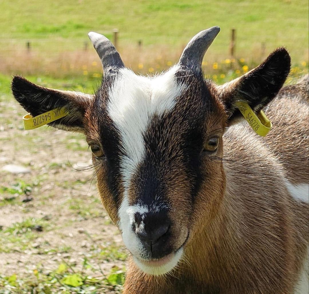 Hotel Tomnauld Farm Pitlochry Zewnętrze zdjęcie