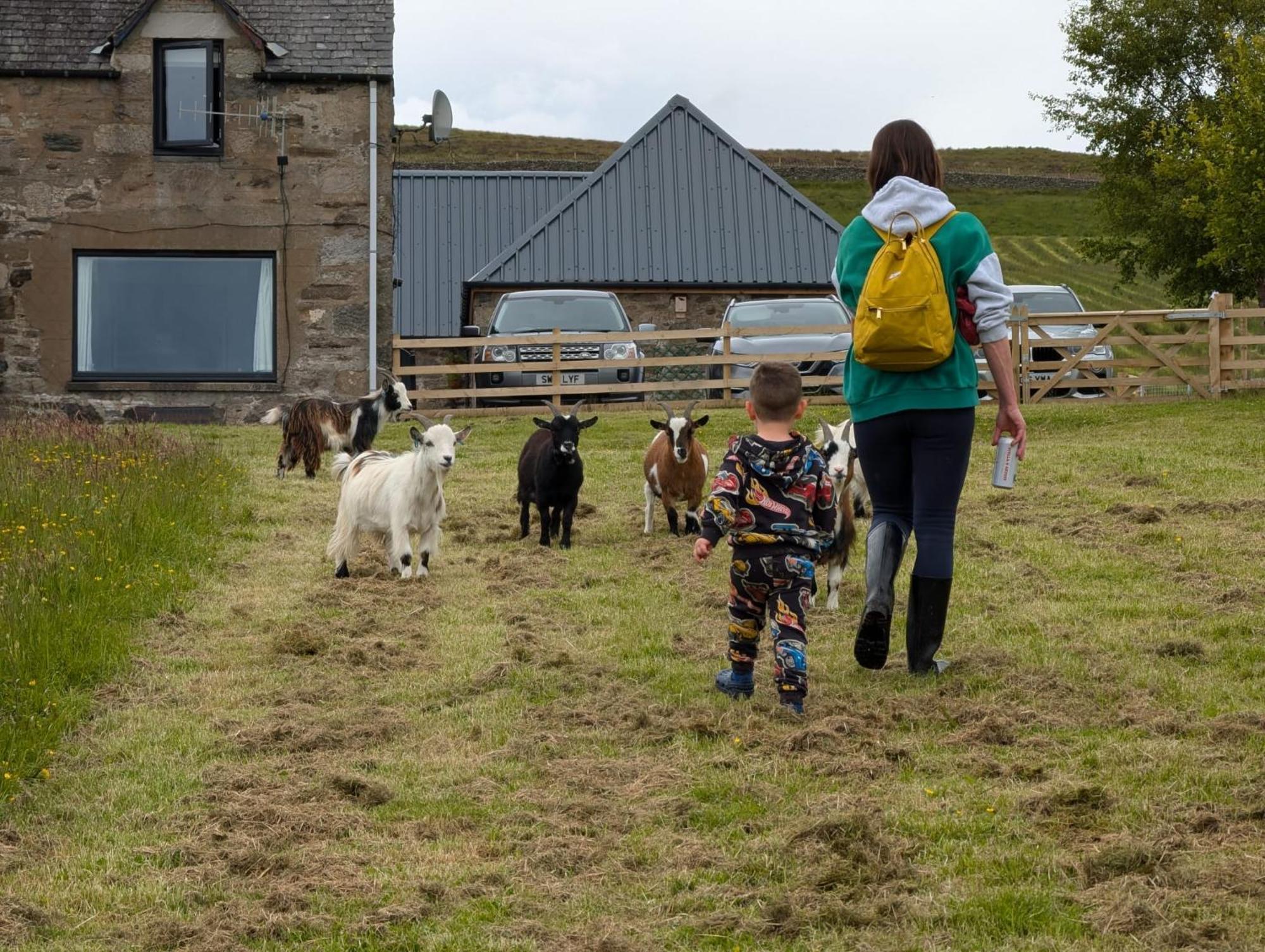 Hotel Tomnauld Farm Pitlochry Zewnętrze zdjęcie